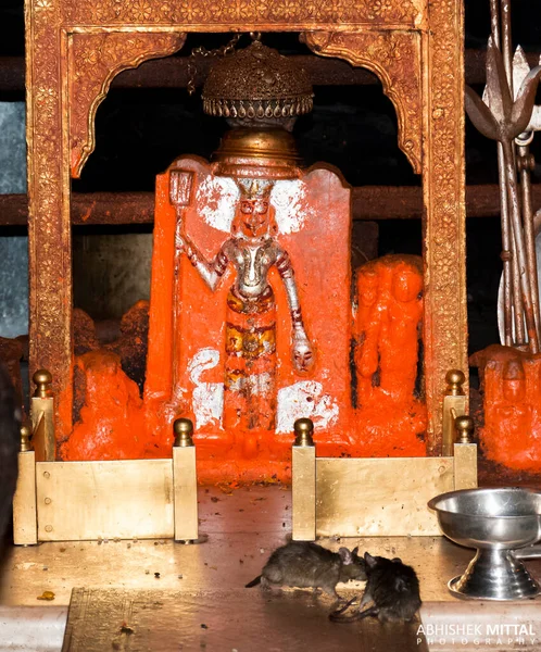 Bikaner Rajasthan India January 2019 Statue Karni Mata Temple — Zdjęcie stockowe