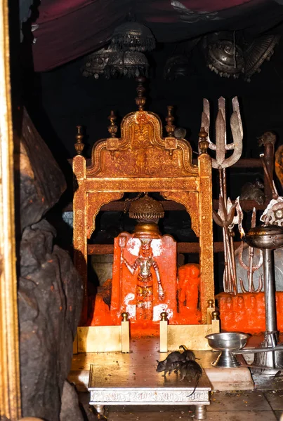 Bikaner Rajastão Índia Janeiro 2019 Karni Mata Temple Famoud Hindu — Fotografia de Stock