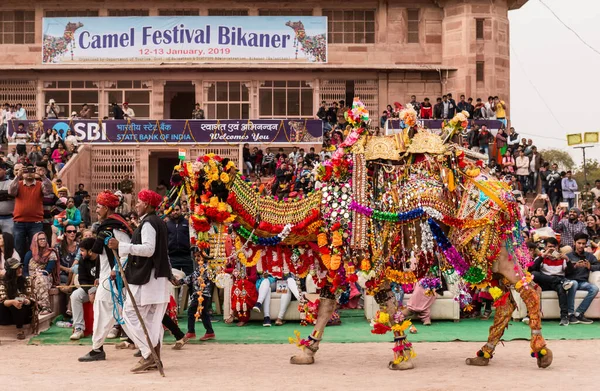 Bikaner Rajasthan India January 2019 Διακοσμημένος Χορός Καμήλας Για Την — Φωτογραφία Αρχείου