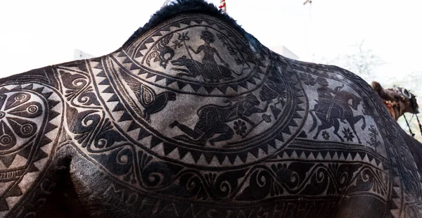 Bikaner Rajasthan India Jan 2019 Art Camel Body — Stock Photo, Image