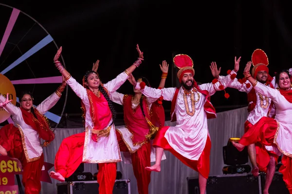 Bikaner Rajastán India Enero 2019 Artistas Punjab Interpretan Famosos Bailes — Foto de Stock