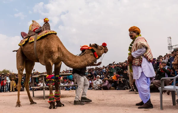 Bikaner Rajasthan Hindistan Ocak 2019 Bikaner Düzenlenen Yıllık Deve Festivalinde — Stok fotoğraf