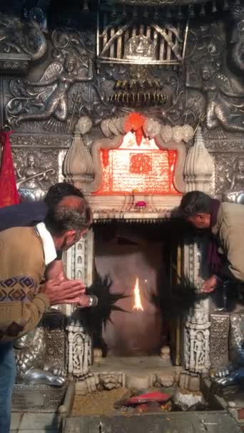 Bikaner Rajasthan Inde Janvier 2019 Temple Karni Mata Également Célèbre — Video