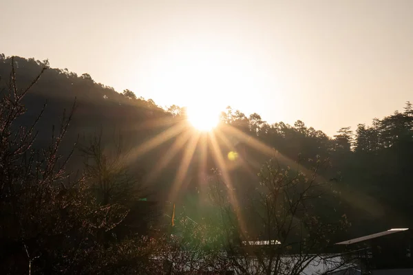 Wschód Słońca Wzgórzach Jageshwar Uttarakhand — Zdjęcie stockowe