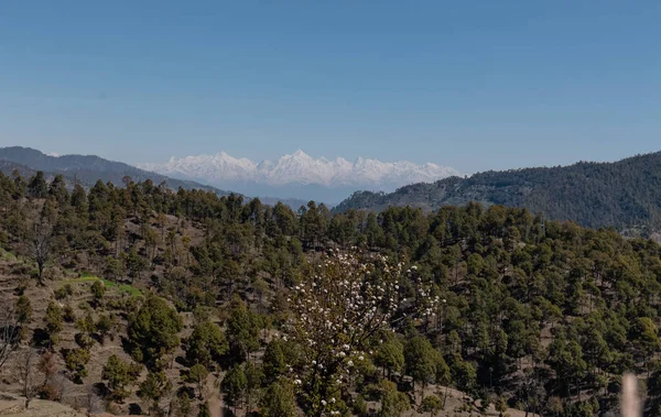 Karlar Dağları Kapladı Manzaralı Manzara Utrakhand Deki Dağ Katmanlarıyla — Stok fotoğraf