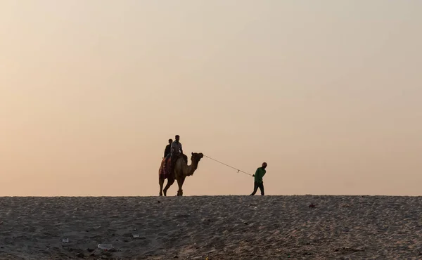 Varanasi Uttar Pradesh Índia Abril 2019 Turistas Desfrutando Passeio Camelo — Fotografia de Stock