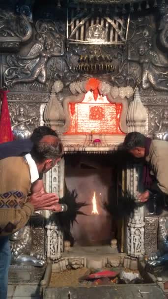 Bikaner Rajastha Inde Janvier 2019 Des Dévots Qui Prient Maa — Video