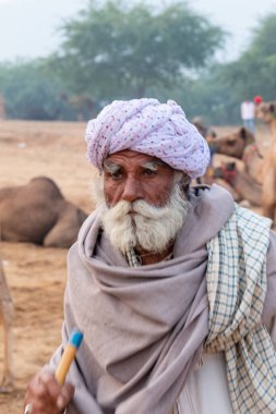 PUSHKAR, RAJASTHAN / INDIA - NOVEMBER 2019: Deve tüccarı / Hintli adamın etnik rajasthani elbisesi ve renkli sarıklı (Pagdi) deve panayırında develeri olan portresi