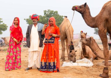 PUSHKAR, RAJASTHAN / INDIA - Kasım 2019: Pushkar Deve Fuarı 'nda develi genç ve güzel Hintli kadının portresi