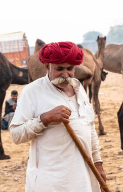 PUSHKAR, RAJASTHAN / INDIA - NOVEMBER 2019: Deve tüccarı / Hintli adamın etnik rajasthani elbisesi ve renkli sarıklı (Pagdi) deve panayırında develeri olan portresi