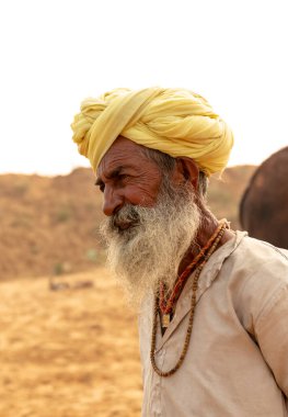 PUSHKAR, RAJASTHAN / INDIA - NOVEMBER 2019: Deve tüccarı / Hintli adamın etnik rajasthani elbisesi ve renkli sarıklı (Pagdi) deve panayırında develeri olan portresi