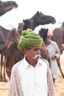 PUSHKAR, RAJASTHAN / INDIA - NOVEMBER 2019: Deve tüccarı / Hintli adamın etnik rajasthani elbisesi ve renkli sarıklı (Pagdi) deve panayırında develeri olan portresi