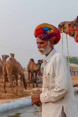 Pushkar deve fuarında (Pushkar Mela), Rajasthan, Hindistan