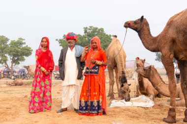 PUSHKAR, RAJASTHAN / INDIA - Kasım 2019: Pushkar Deve Fuarı 'nda develi genç ve güzel Hintli kadının portresi