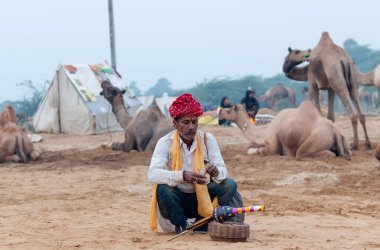 PUSHKAR, RAJASTHAN / INDIA - Yılan Büyücüsü 'nün portresi ve Hint kobra yılanı itme deve fuarında