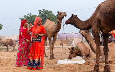 PUSHKAR, RAJASTHAN / INDIA - Kasım 2019: Pushkar Deve Fuarı 'nda develi genç ve güzel Hintli kadının portresi