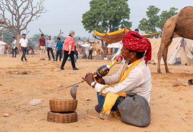 PUSHKAR, RAJASTHAN / INDIA - NOVEMBER 2019: Pushkar Fair 'de turistleri para karşılığı çekmek için halk sanatçıları sahne alıyor