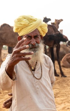 PUSHKAR, RAJASTHAN / INDIA - NOVEMBER 2019: Deve tüccarı / Hintli adamın etnik rajasthani elbisesi ve renkli sarıklı (Pagdi) deve panayırında develeri olan portresi
