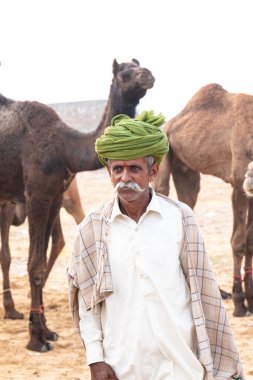 PUSHKAR, RAJASTHAN / INDIA - NOVEMBER 2019: Deve tüccarı / Hintli adamın etnik rajasthani elbisesi ve renkli sarıklı (Pagdi) deve panayırında develeri olan portresi