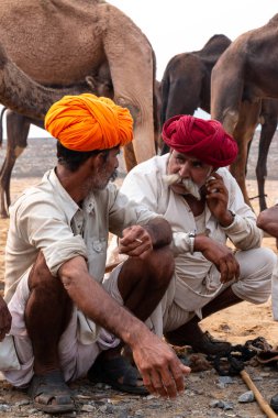 PUSHKAR, RAJASTHAN / INDIA - NOVEMBER 2019: Deve tüccarı / Hintli adamın etnik rajasthani elbisesi ve renkli sarıklı (Pagdi) deve panayırında develeri olan portresi