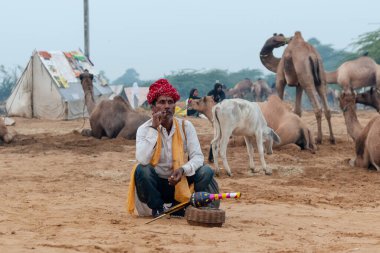 PUSHKAR, RAJASTHAN / INDIA - Yılan Büyücüsü 'nün portresi ve Hint kobra yılanı itme deve fuarında