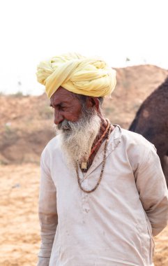 PUSHKAR, RAJASTHAN / INDIA - NOVEMBER 2019: Deve tüccarı / Hintli adamın etnik rajasthani elbisesi ve renkli sarıklı (Pagdi) deve panayırında develeri olan portresi