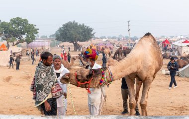 Pushkar deve fuarında (Pushkar Mela), Rajasthan, Hindistan