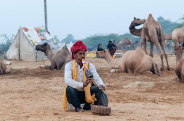 PUSHKAR, RAJASTHAN / INDIA - NOVEMBER 2019 : Portrait of Snake Charmer with indian cobra snake in pushkar camel fair clipart