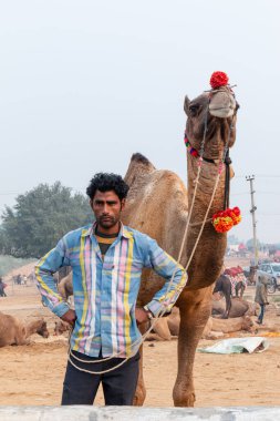 PUSHKAR, RAJASTHAN / INDIA - NOVEMBER 2019: Deve tüccarı / Hintli adamın etnik rajasthani elbisesi ve renkli sarıklı (Pagdi) deve panayırında develeri olan portresi
