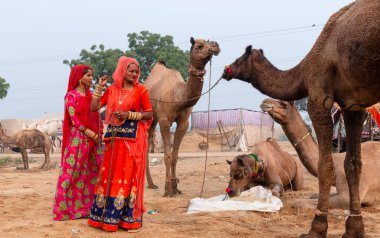 PUSHKAR, RAJASTHAN / INDIA - Kasım 2019: Pushkar Deve Fuarı 'nda develi genç ve güzel Hintli kadının portresi