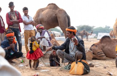 PUSHKAR, RAJASTHAN / INDIA - Kasım 2019: Hintli adam, panayır alanında maymun dansı gösterisi için turistleri cezbediyor