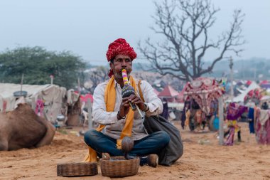 PUSHKAR, RAJASTHAN / INDIA - Yılan Büyücüsü 'nün portresi ve Hint kobra yılanı itme deve fuarında