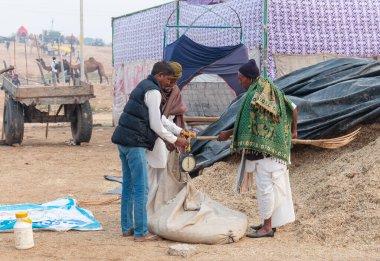 PUSHKAR, RAJASTHAN / INDIA - NOVEMBER 2019: Pushkar Deve Fuarında Rajastahni insan ve develerin portresi