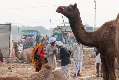 Pushkar deve fuarında (Pushkar Mela), Rajasthan, Hindistan