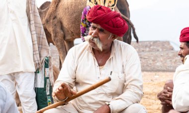 PUSHKAR, RAJASTHAN / INDIA - NOVEMBER 2019: Deve tüccarı / Hintli adamın etnik rajasthani elbisesi ve renkli sarıklı (Pagdi) deve panayırında develeri olan portresi