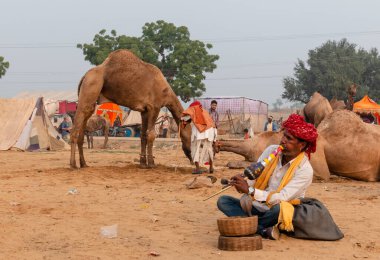 PUSHKAR, RAJASTHAN / INDIA - NOVEMBER 2019: Pushkar Fair 'de turistleri para karşılığı çekmek için halk sanatçıları sahne alıyor