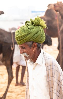 PUSHKAR, RAJASTHAN / INDIA - NOVEMBER 2019: Deve tüccarı / Hintli adamın etnik rajasthani elbisesi ve renkli sarıklı (Pagdi) deve panayırında develeri olan portresi