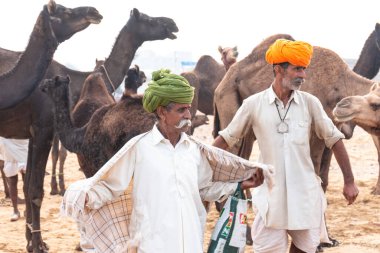 PUSHKAR, RAJASTHAN / INDIA - NOVEMBER 2019: Deve tüccarı / Hintli adamın etnik rajasthani elbisesi ve renkli sarıklı (Pagdi) deve panayırında develeri olan portresi