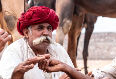 PUSHKAR, RAJASTHAN / INDIA - NOVEMBER 2019: Deve tüccarı / Hintli adamın etnik rajasthani elbisesi ve renkli sarıklı (Pagdi) deve panayırında develeri olan portresi