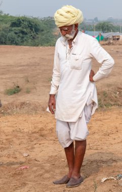 Pushkar deve fuarında (Pushkar Mela), Rajasthan, Hindistan