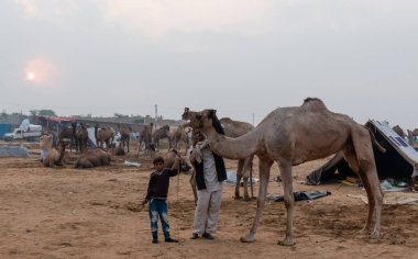 PUSHKAR, RAJASTHAN / INDIA - Kasım 2019: İtme Fuarında develi genç Hintli çocuk
