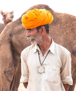 PUSHKAR, RAJASTHAN / INDIA - NOVEMBER 2019: Deve tüccarı / Hintli adamın etnik rajasthani elbisesi ve renkli sarıklı (Pagdi) deve panayırında develeri olan portresi