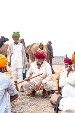 PUSHKAR, RAJASTHAN / INDIA - NOVEMBER 2019: Deve tüccarı / Hintli adamın etnik rajasthani elbisesi ve renkli sarıklı (Pagdi) deve panayırında develeri olan portresi
