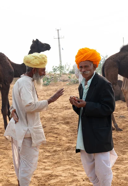 Pushkar Rajasthan Inde Novembre 2019 Portrait Chameau Commerçant Homme Indien — Photo