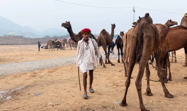 Pushkar Rajasthan India Novembre 2019 Ritratto Commerciante Cammelli Uomo Indiano — Foto Stock