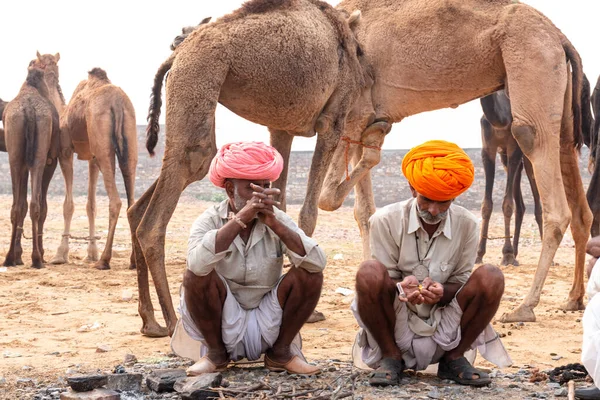 Pushkar Rajasthan Índia Novembro 2019 Retrato Comerciante Camelos Índio Com — Fotografia de Stock