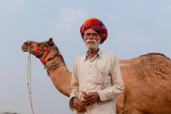 Indische Männer Und Kamele Auf Der Kamelmesse Pushkar Mela Rajasthan — Stockfoto