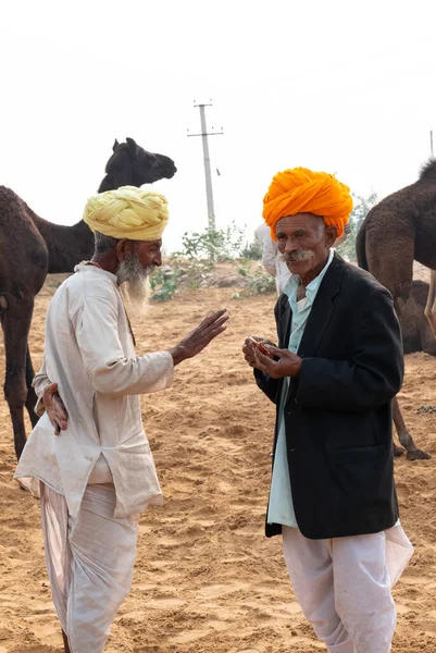 Pushkar Rajasthan Indien November 2019 Porträt Eines Kamelhändlers Indischen Mannes — Stockfoto