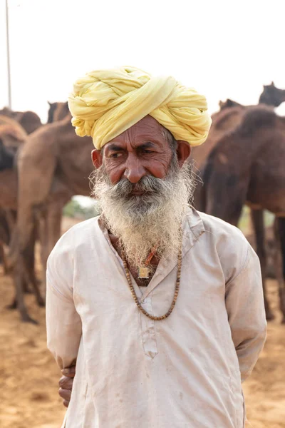 Pushkar Rajasthan India November 2019 인종적으로 레이시아 드레스를 인도인의 낙타의 — 스톡 사진