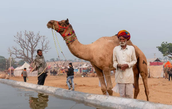 Kamele Trinken Wasser Mit Ihren Besitzern Einem Teich Der Wüste — Stockfoto